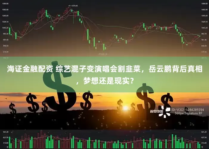 海证金融配资 综艺混子变演唱会割韭菜，岳云鹏背后真相，梦想还是现实？
