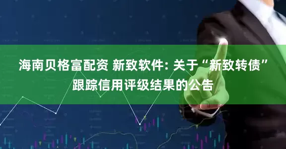 海南贝格富配资 新致软件: 关于“新致转债”跟踪信用评级结果的公告