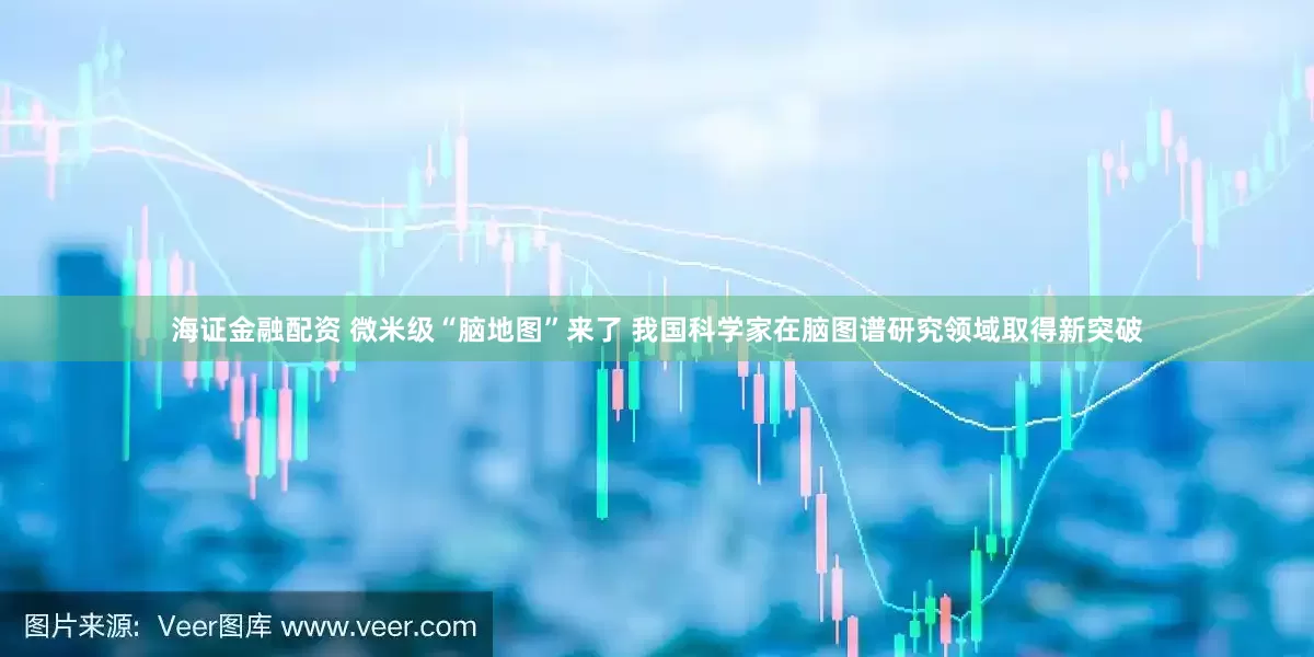 海证金融配资 微米级“脑地图”来了 我国科学家在脑图谱研究领域取得新突破