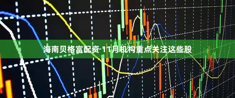 海南贝格富配资 11月机构重点关注这些股